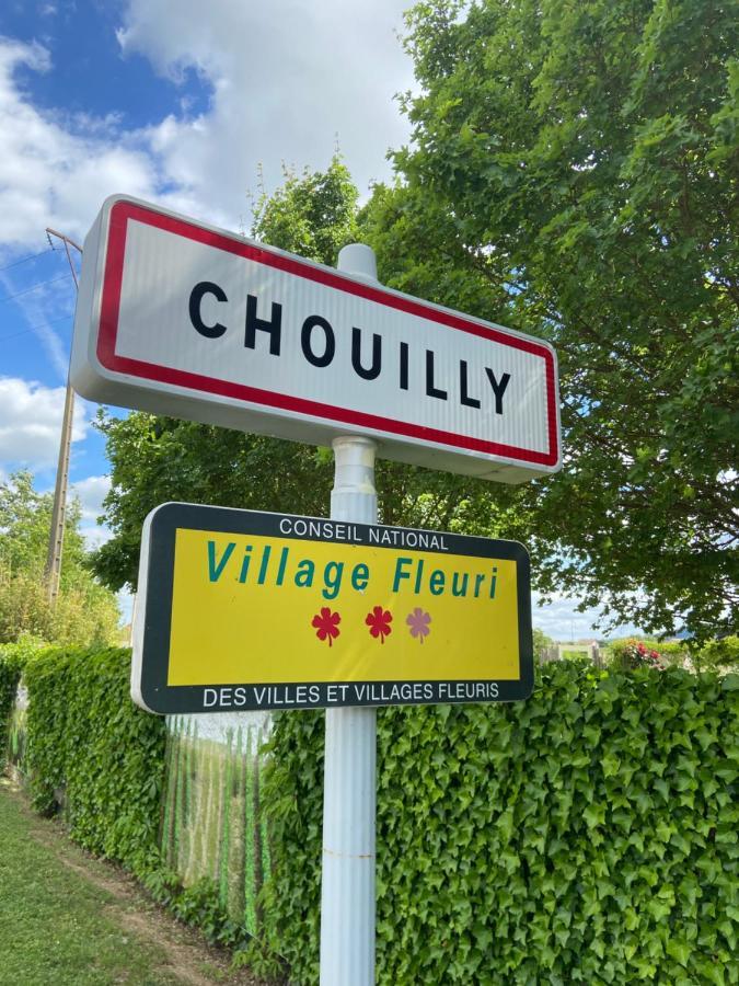 La Hallette Au Coeur Du Vignoble Champenois, Classe 2 Etoiles Holiday home *